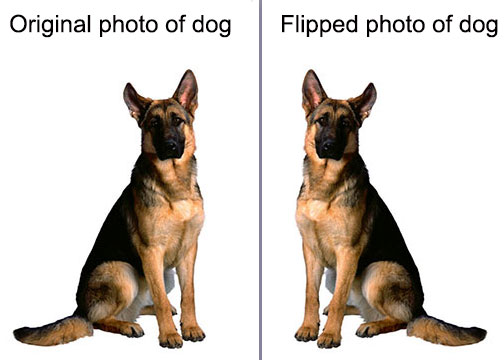 Example of flipped image