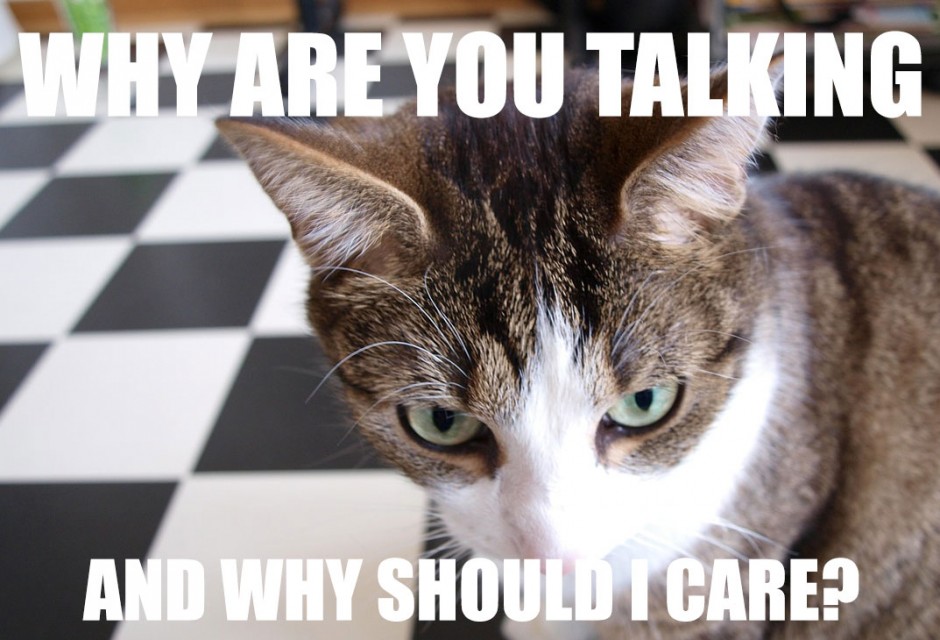 Skeptical Cat