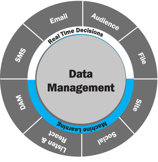 Circular graphic: before