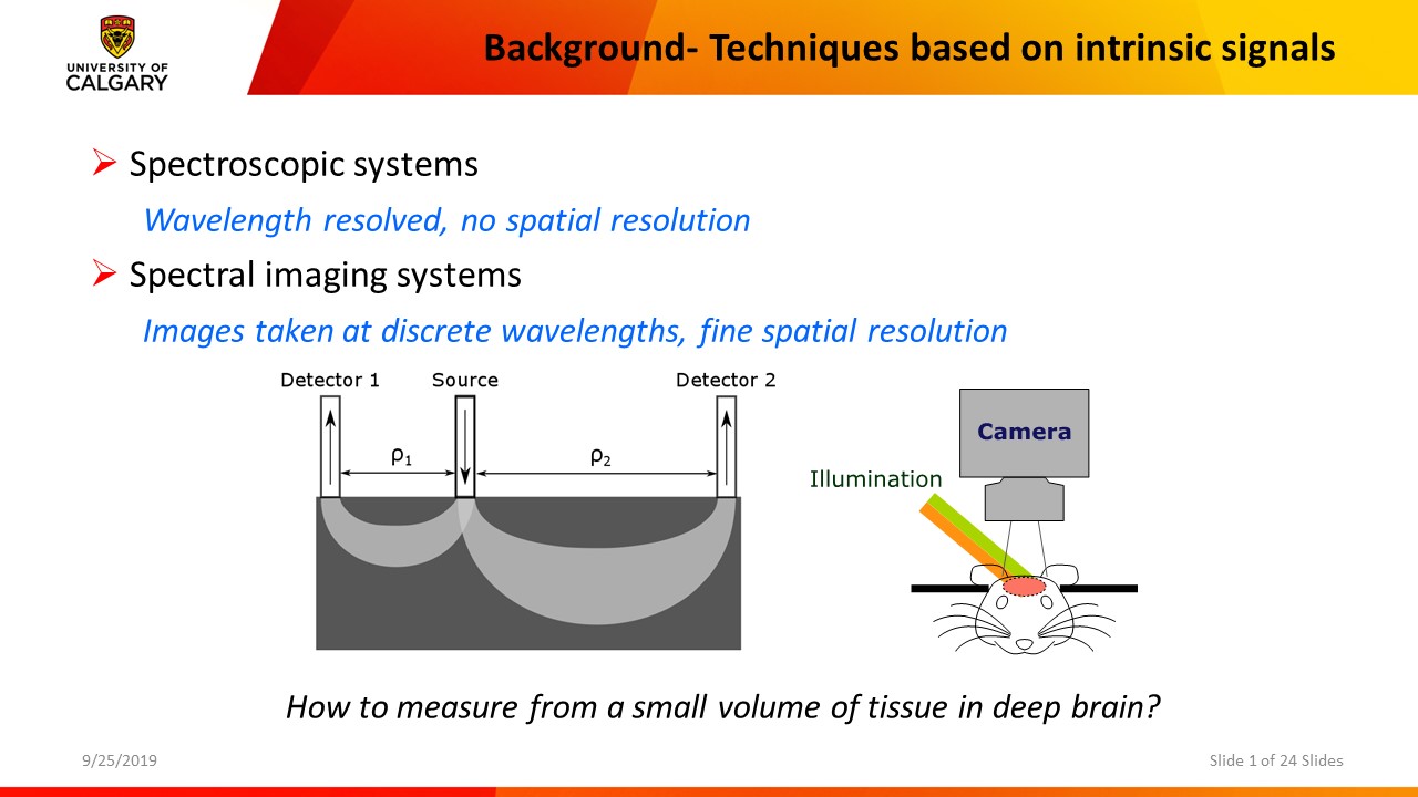 Before: A slide from the University of Calgary